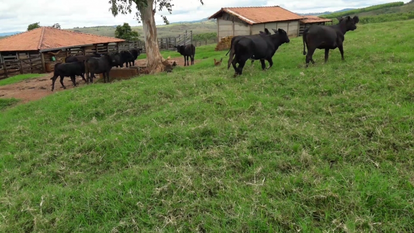 Oportunidade ! Vende-se terreno em Tiros - MG