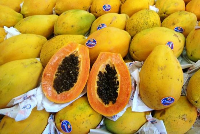 Frutas ficam mais caras em quase todas as Ceasas em setembro, diz relatório da Conab