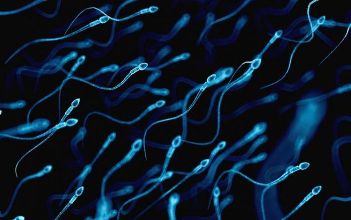 Gel contraceptivo masculino, que bloqueia produção de esperma, será testado em abril