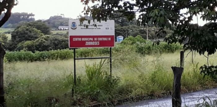 Vigilância esclarece que NÃO HÁ suspeita de Febre Amarela em Patos de Minas