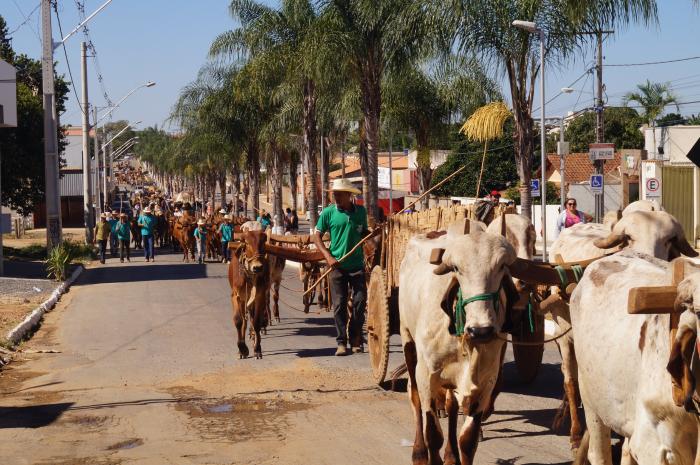 Carreata com Carros de Boi é realizada em Guarda dos Ferreiros