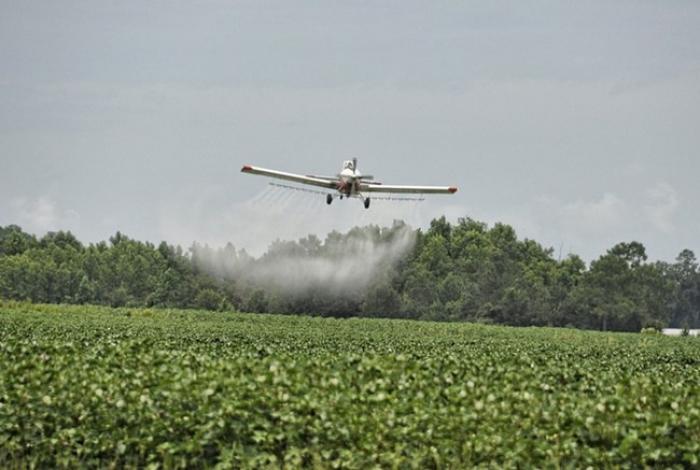 Governo federal avisa que, se preciso, vai ao STJ para liberar uso de pesticida 