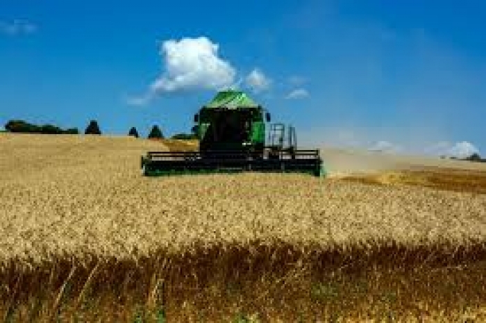Lei concede descontos para pagamentos de dívidas de crédito rural