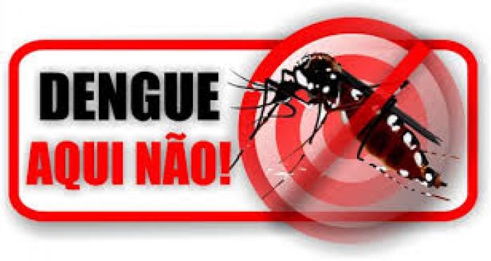 Dicas para combater o mosquito da Dengue